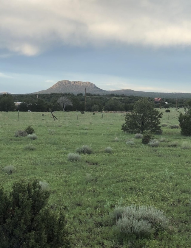 153 High Country Rd, Fence Lake, NM 87315 - photo 9