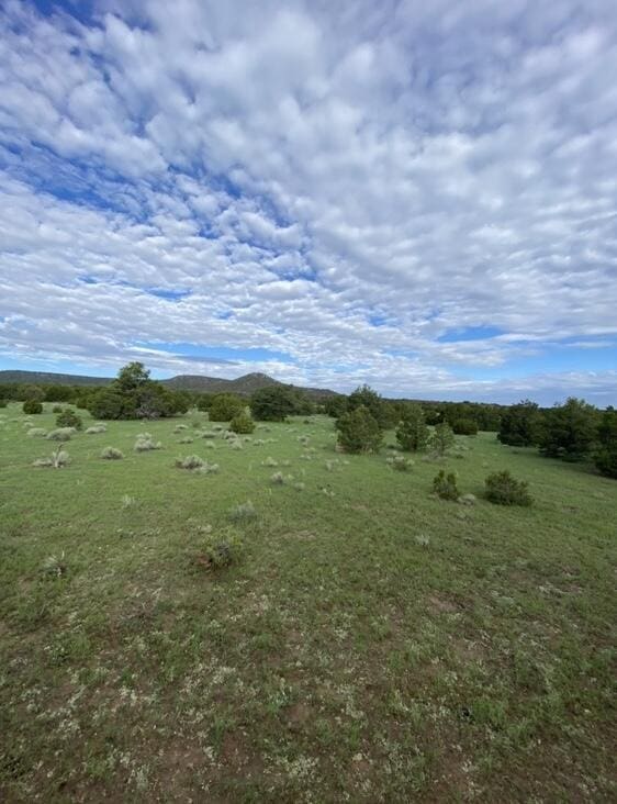 153 High Country Rd, Fence Lake, NM 87315 - photo 10