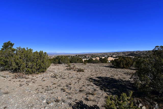 view of local wilderness