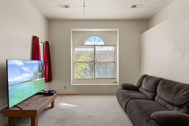 carpeted living room with a textured ceiling