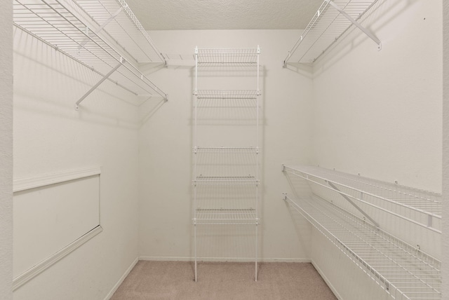 walk in closet with carpet