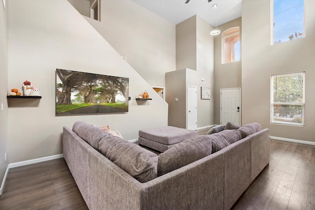 living room with dark wood-type flooring and a towering ceiling