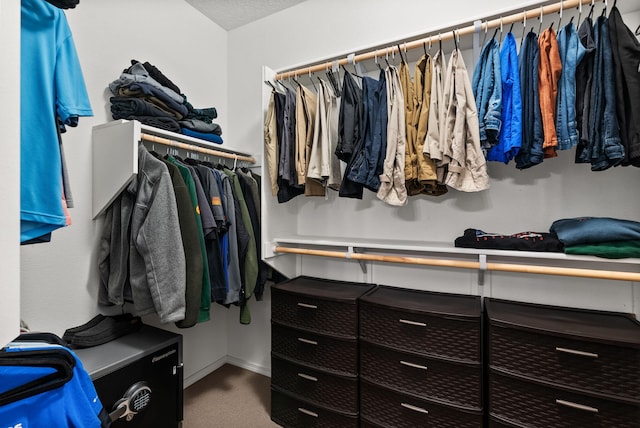 spacious closet featuring carpet flooring