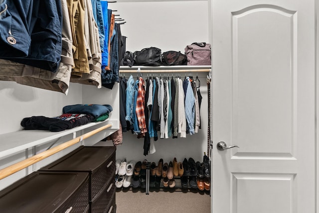 walk in closet featuring carpet flooring