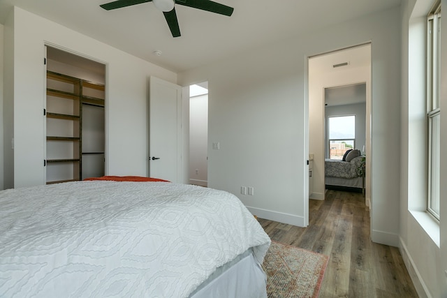 bedroom with a closet, a walk in closet, light hardwood / wood-style floors, and ceiling fan