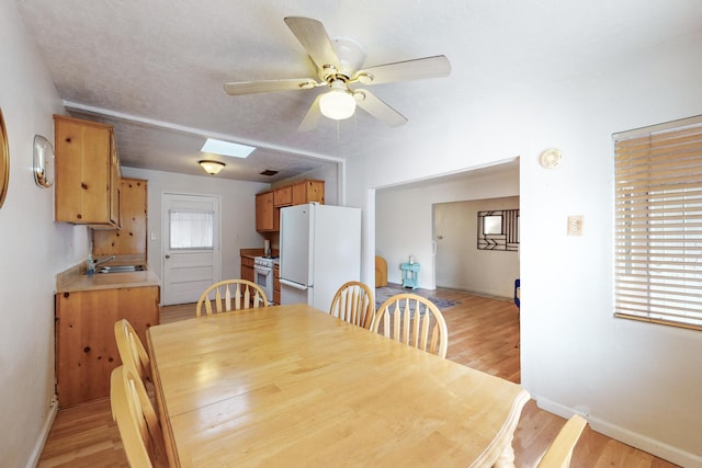 dining space with light wood-type flooring, sink, ceiling fan, and a textured ceiling