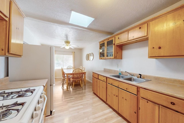 kitchen featuring sink, ceiling fan, a textured ceiling, a skylight, and light wood-type flooring