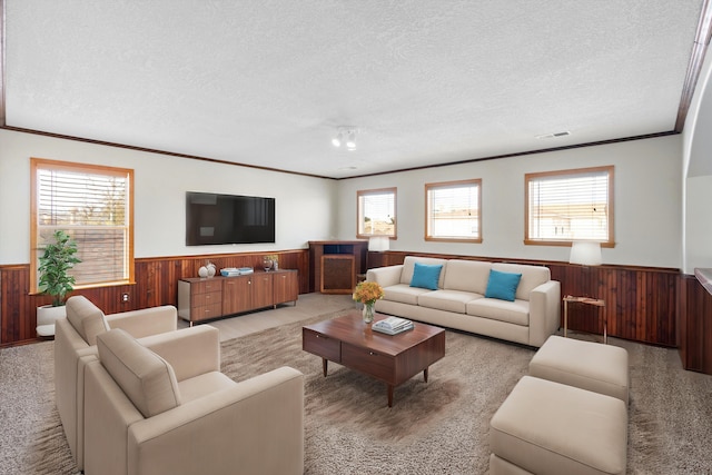 living room with a wealth of natural light, wood walls, and a textured ceiling