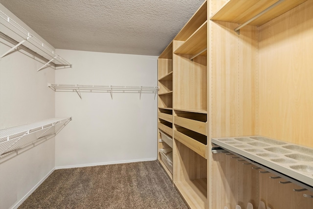 spacious closet featuring dark carpet