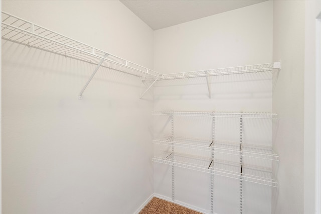 spacious closet featuring carpet