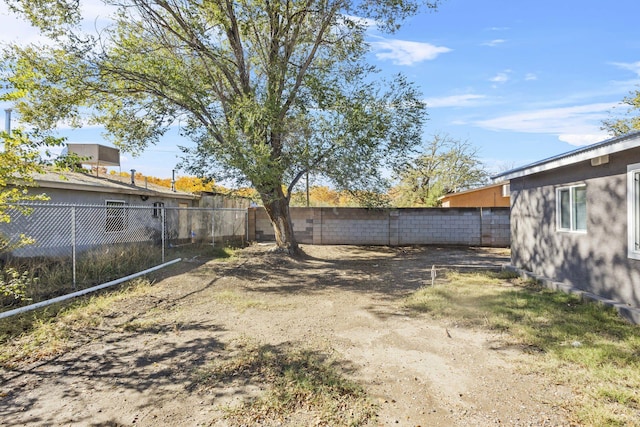 view of yard