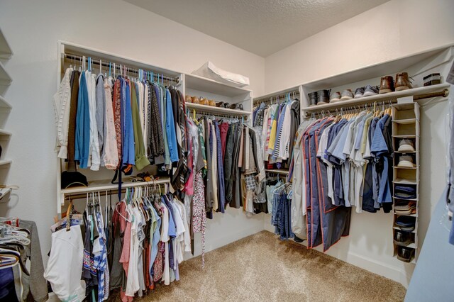 spacious closet with carpet floors