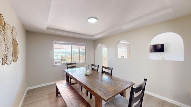 dining area with a raised ceiling, a wealth of natural light, and light hardwood / wood-style floors