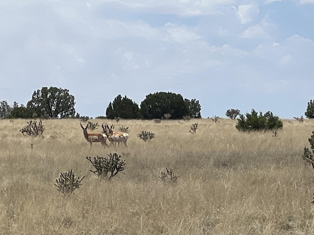 view of nature with a rural view