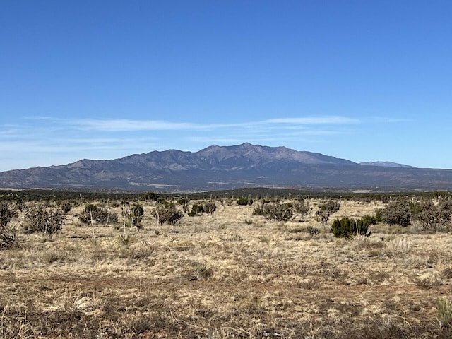 view of mountain feature