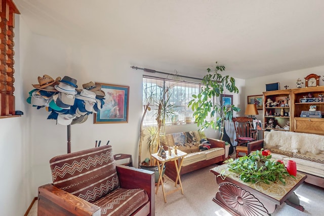 living room featuring carpet flooring