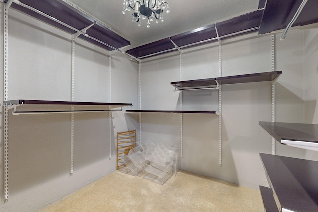 walk in closet featuring carpet floors and a chandelier