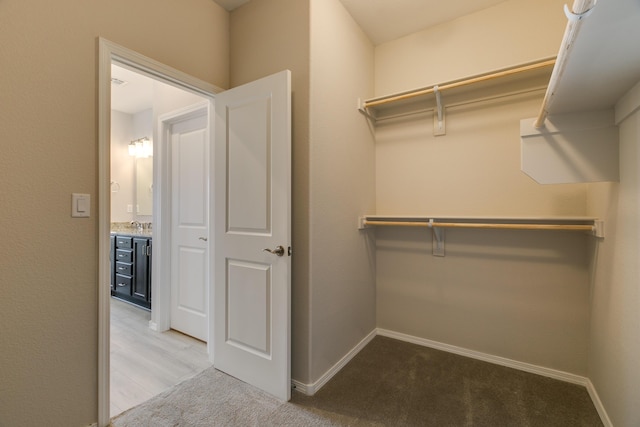 walk in closet with light colored carpet