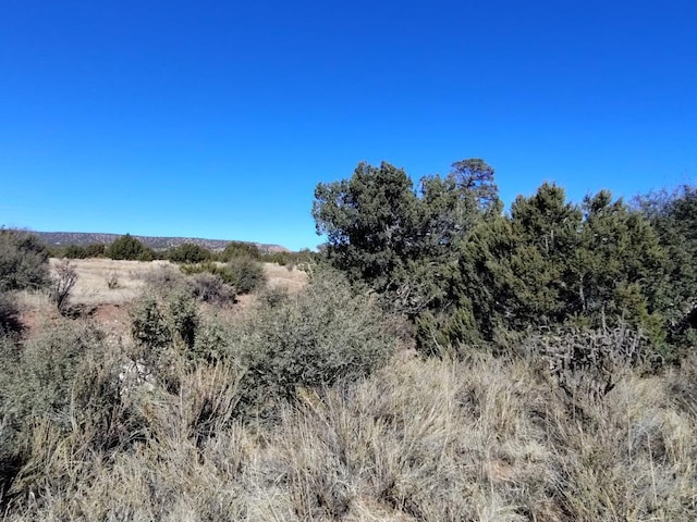 Listing photo 3 for Road Runner Rd, Mountainair NM 87036