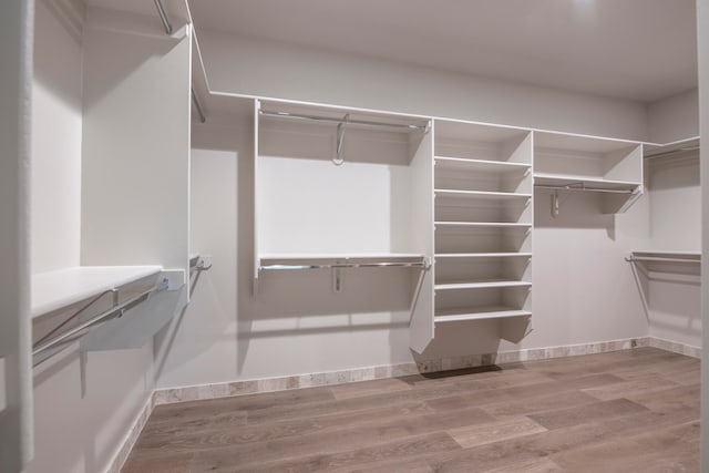 spacious closet with hardwood / wood-style flooring