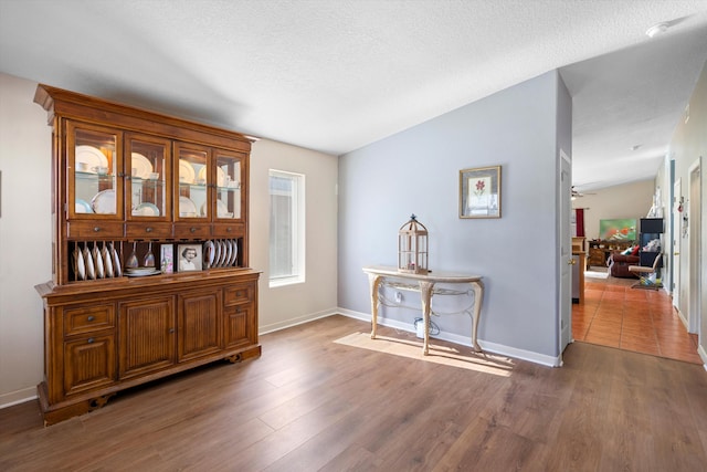 interior space with vaulted ceiling, ceiling fan, dark hardwood / wood-style flooring, and a textured ceiling