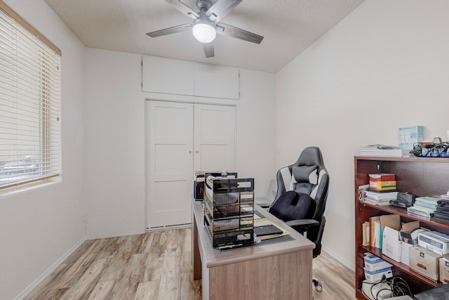 office featuring light hardwood / wood-style flooring and ceiling fan