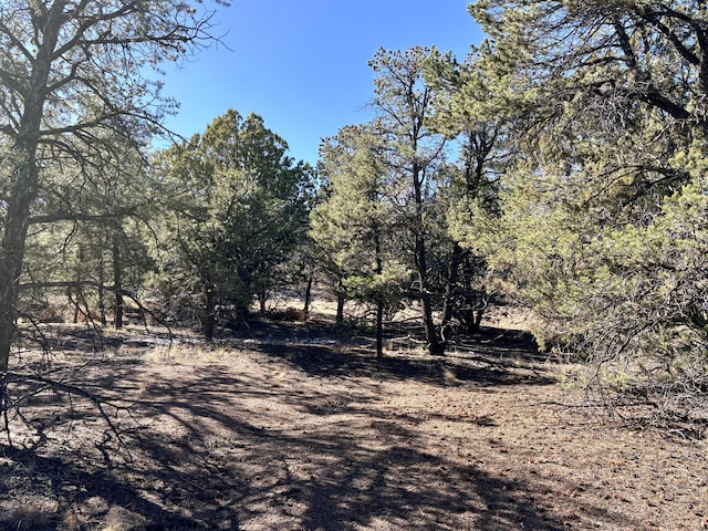 Windmill Dr, Datil, NM 87821