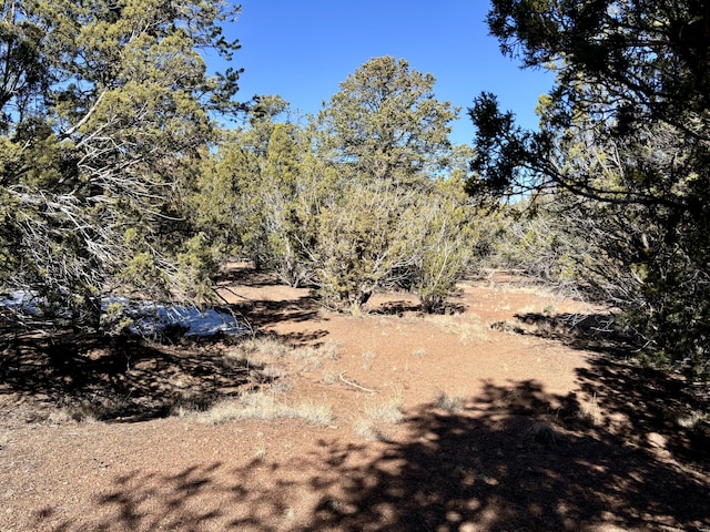 Listing photo 2 for Windmill Dr, Datil NM 87821