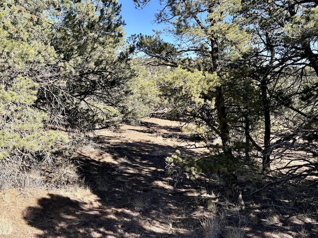 Listing photo 3 for Windmill Dr, Datil NM 87821