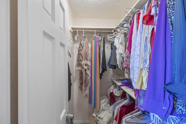 view of spacious closet