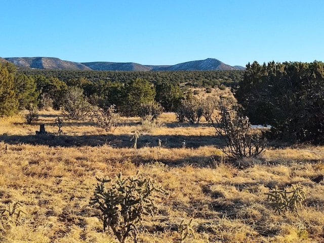 Ravine Ln, Mountainair NM, 87036 land for sale