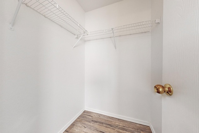 spacious closet featuring wood-type flooring