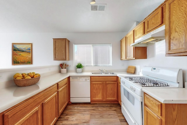 kitchen with light hardwood / wood-style flooring, white appliances, and sink