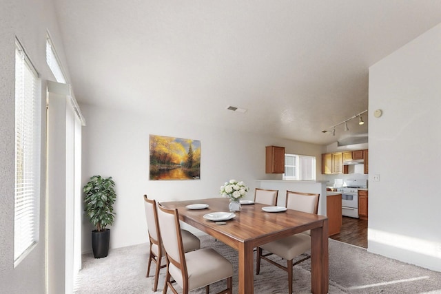 carpeted dining area with rail lighting and a healthy amount of sunlight