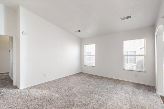 empty room featuring a textured ceiling, light colored carpet, and a wealth of natural light