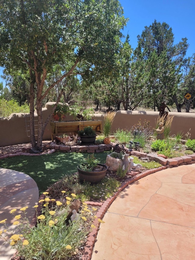 view of yard with a patio area