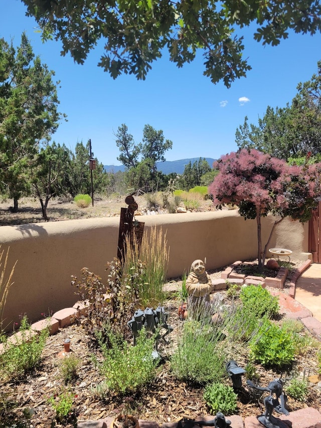 view of yard with a mountain view