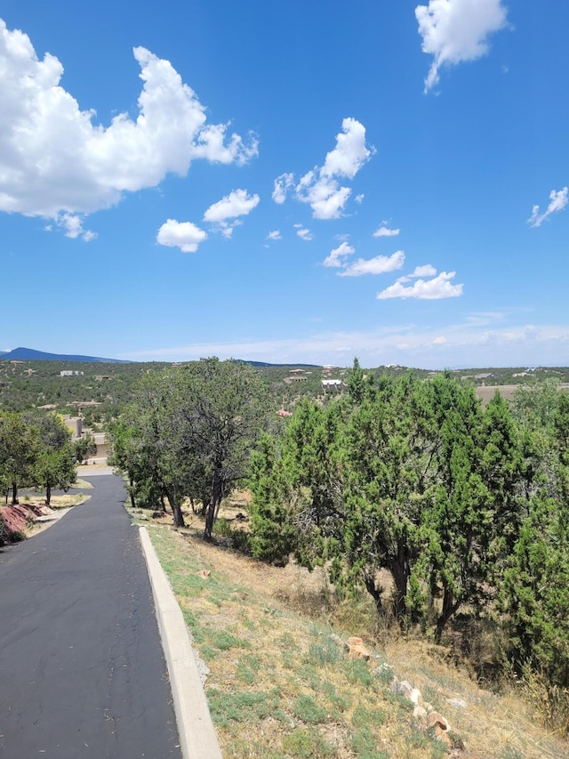 view of road