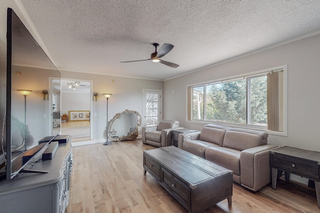 living room featuring light hardwood / wood-style flooring and a textured ceiling