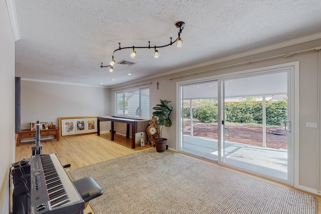 exercise room with hardwood / wood-style floors, crown molding, and a textured ceiling