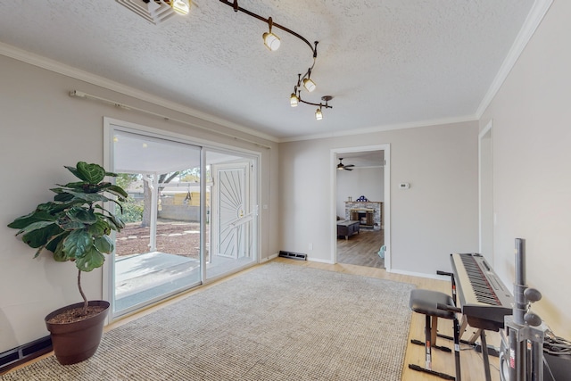 interior space featuring crown molding, track lighting, light hardwood / wood-style floors, and a textured ceiling