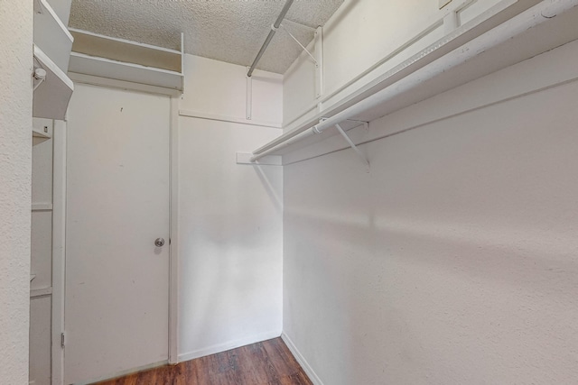 spacious closet featuring dark wood-type flooring