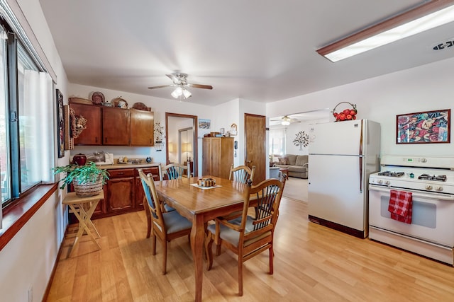 dining area with light wood-type flooring, a wealth of natural light, and ceiling fan