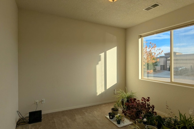 empty room with carpet flooring and a textured ceiling