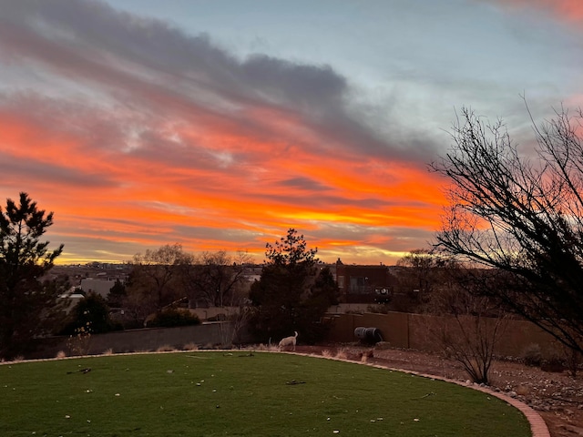 view of yard at dusk