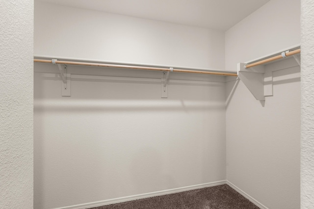 walk in closet with carpet