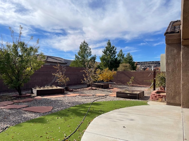 view of yard featuring a patio area