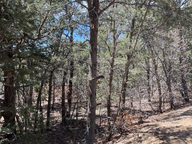 Listing photo 3 for 46 Big Dipper Rd, Tijeras NM 87059