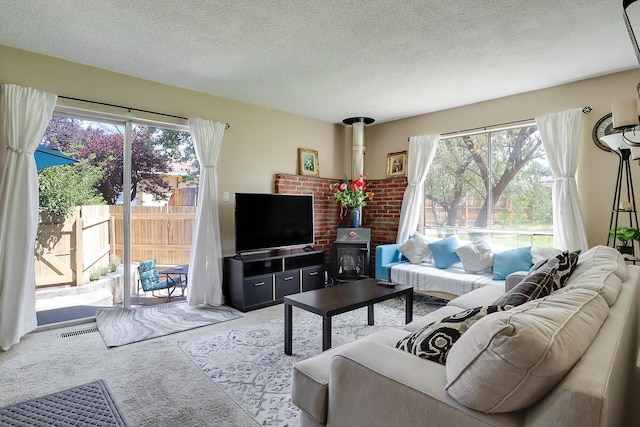 living room with a wood stove, a wealth of natural light, carpet, and a textured ceiling