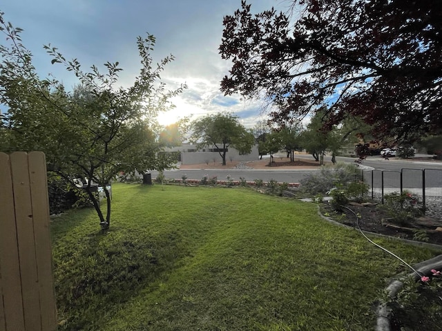 view of yard at dusk